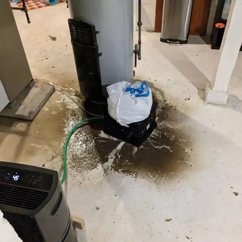 Sewage Backup Cleanup Service in Stanton, KY